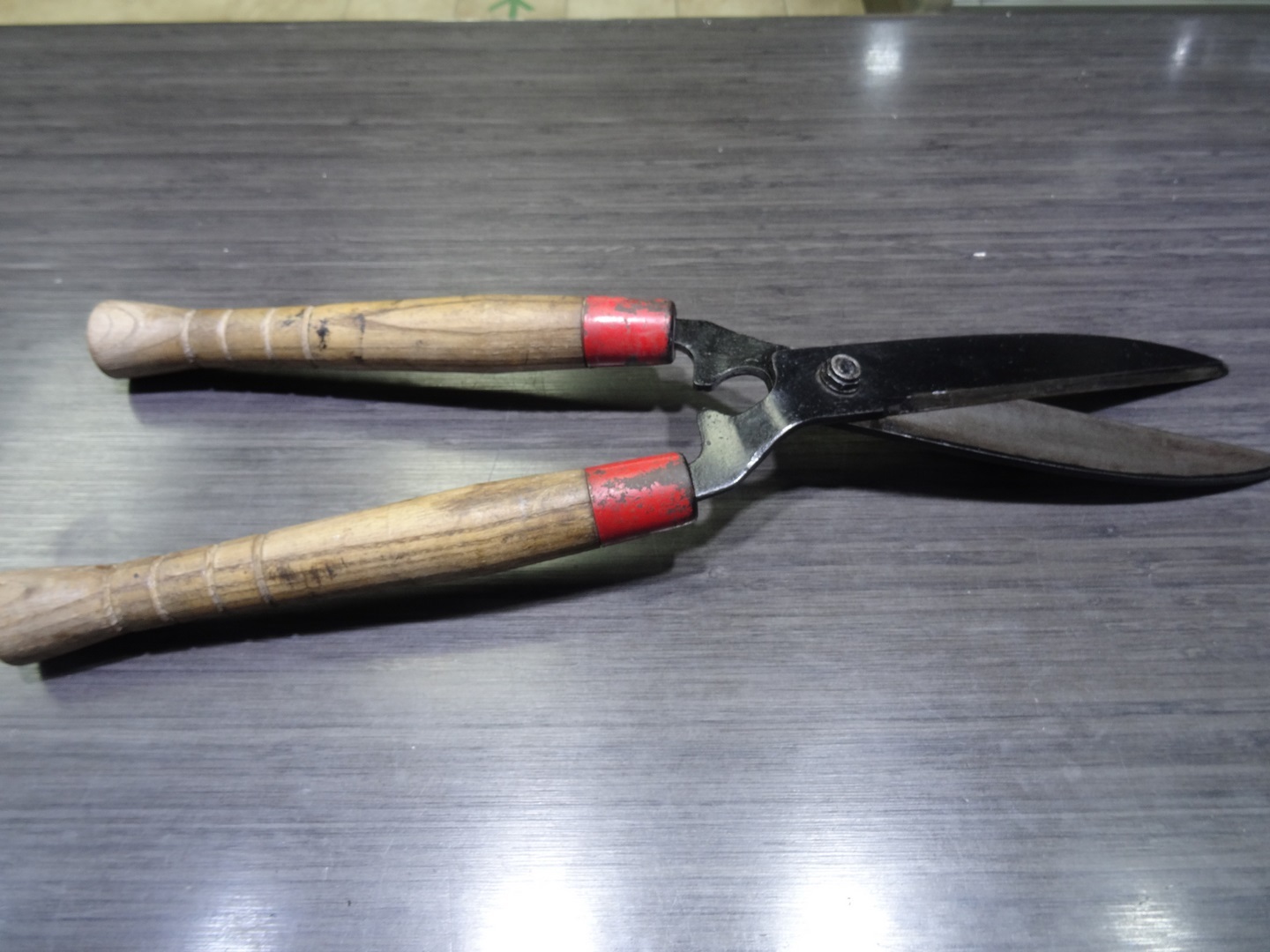 cisailles a haie - Image 2