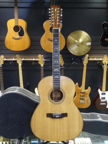 Guitares 12 cordes Acoustiques  