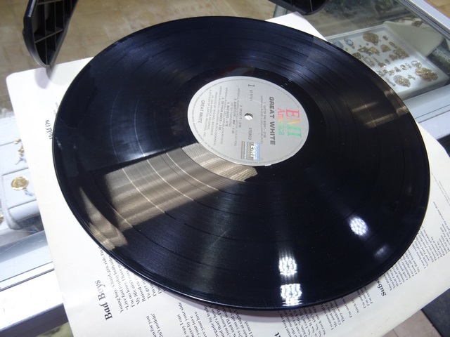 Great White - Image 4