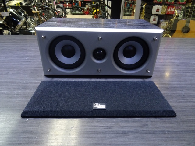 (75 watts) Haut Parleur Central