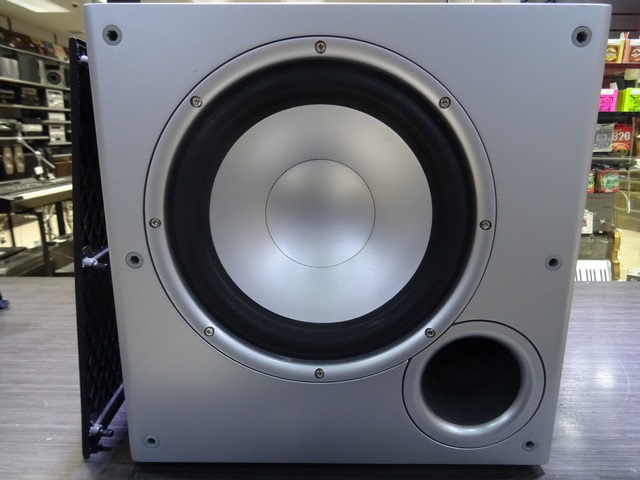 (100 Watts) Subwoofer Actif