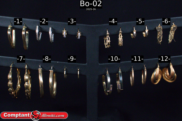 Vaste choix boucle d oreille Bo-02