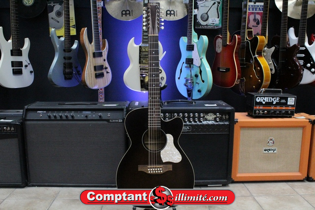 Guitare Électro Acoustique 12 cordes