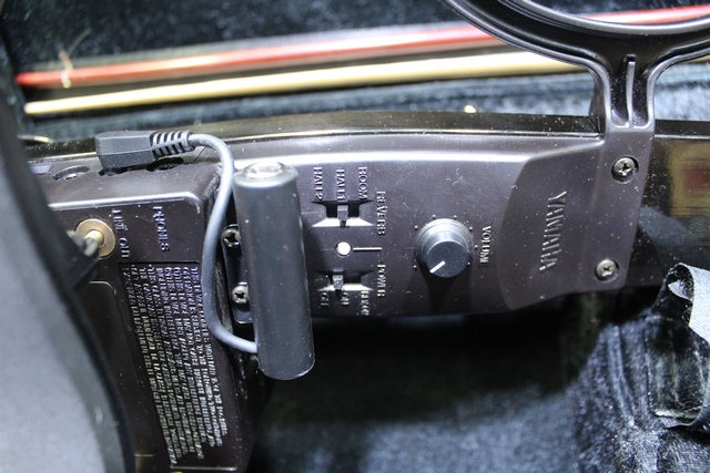 violon electrique - Image 3