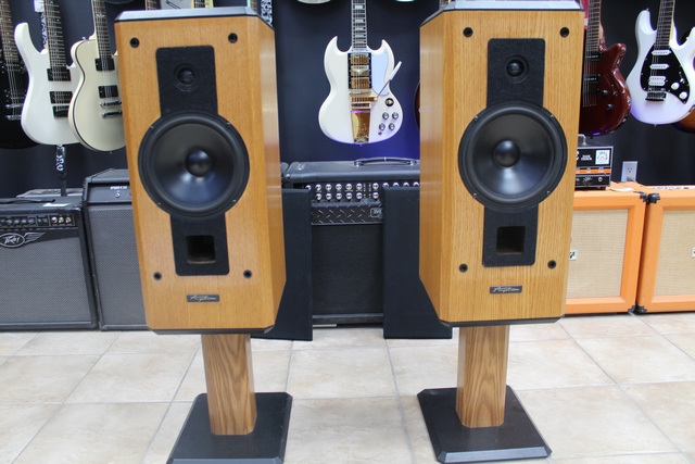 (100 Watts) Pair Haut Parleur