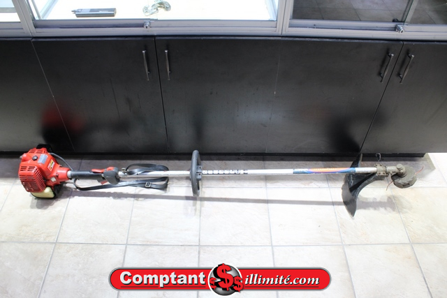 Coupe bordure a gaz schindawa