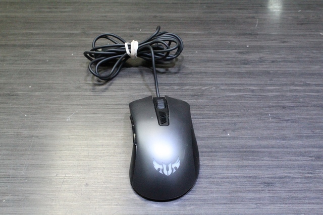 Souris fillaire