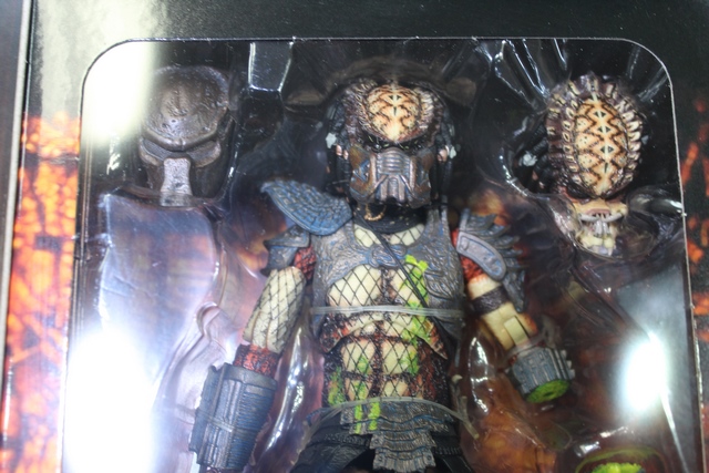 Predator 30th  (scelle) - Image 3