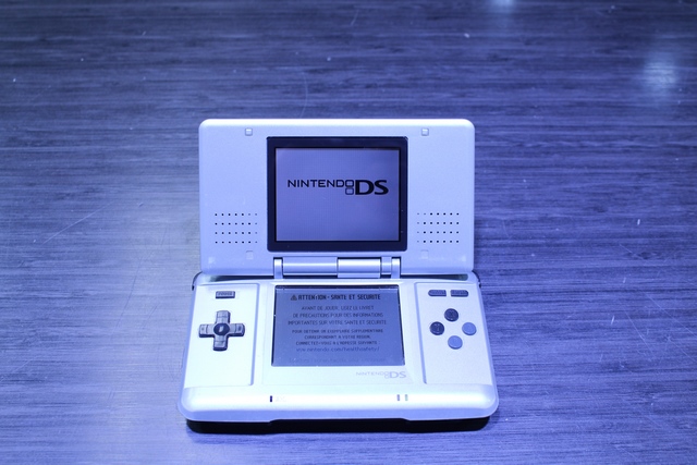 Console DS 1e gen (sans stylet et porte) - Image 2